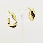 Pendientes Rizo